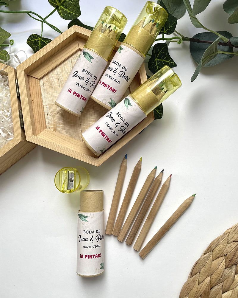 Tubo Lápices de colores